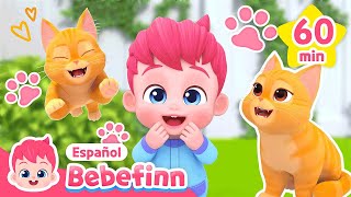 Canción de Gato🐱 y Más Canciones Infantiles Divertidas para Niños | Bebefinn en español