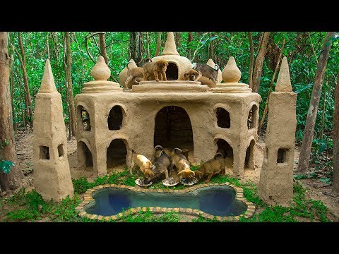 build-most-beautiful-mud-dog-house-for-homeless-puppy