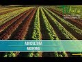 Que es la Agricultura Moderna y Digital - TvAgro por Juan Gonzalo Angel