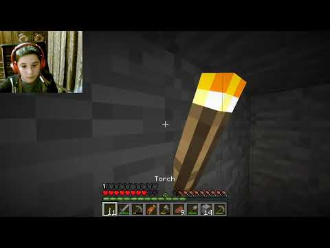 minecraft survival #2