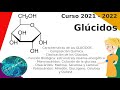 Glúcidos | Principios Inmediatos | Biomoléculas Orgánicas | Composición, clasificación y función