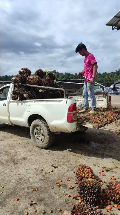 harus kerja untuk hidup