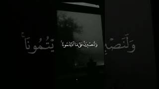 ولنصبرن على ما آذيتمونا وعلى الله فليتوكل المتوكلون🖤 بصوت إسلام❤ صبحي ماشاء الله🤍