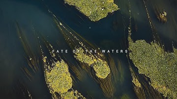 Fate of the Waters |  3 mins environmental film on Eutrophication