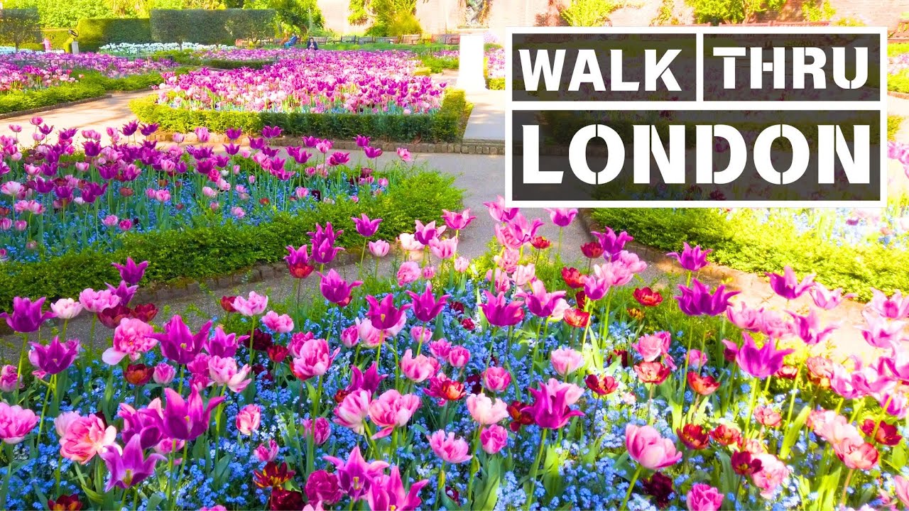 Holland Park POV Walk | Stunning Tulips in London & the beautiful Kyoto Garden | Walk Thru London