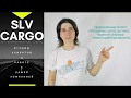 Отзыв о работе с SLV CARGO - Анастасия