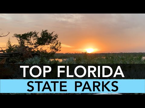 Video: Florida State Parks nella Tampa Bay Area