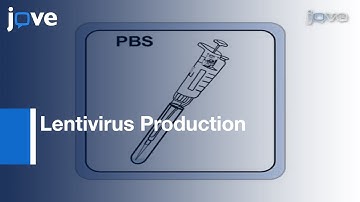 Lentivirus Production l Protocol Preview