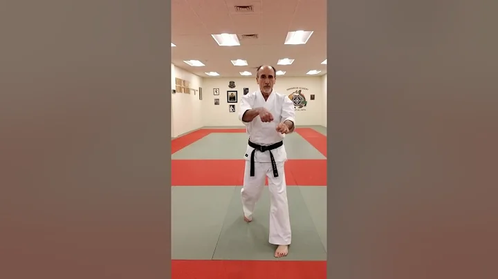 Uechi-ryu Kata right and left side