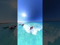 اجمد شوطئ مرسى مطروح مرسي مطروح مطروح اكسبلور بحر مصيف مطروح البحر Summer Hairtok اجمد شوطئ مرسى مطروح مرسي مطروح مطروح اكسبلور بحر مصيف مطروح البحر Summer Hairtok
