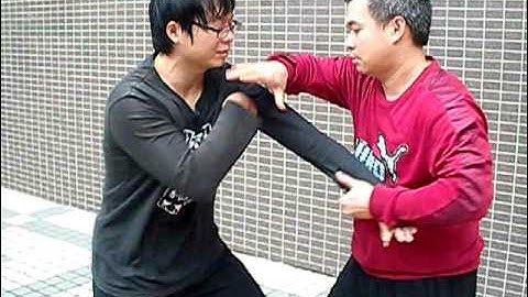 八步螳螂拳 基本接手對練 eight step praying mantis -basic fighting training