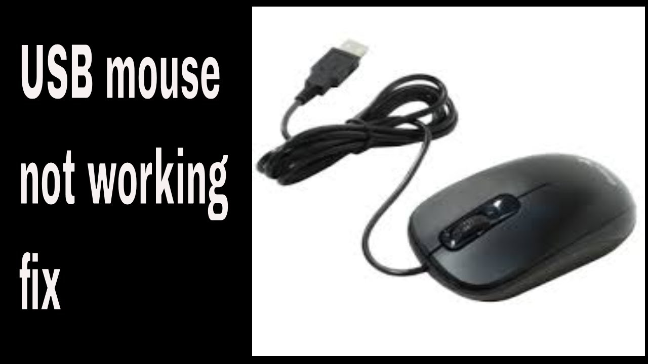 USB mouse not in linux | Fix mouse not recognized in linux - YouTube