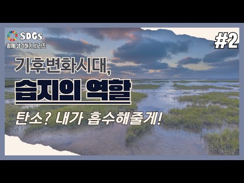 습지가 기후변화로부터 우리를 지켜준다고요? ｜SDGs 함께 생각하기 21-2 (유튜브 자막 포함)