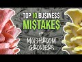 Top 10 business mistakes that mushroom growers make  grocycle