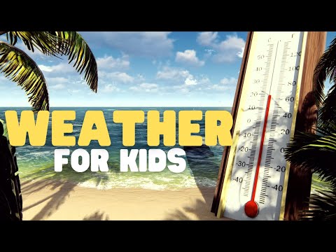 Video: Waar wordt het weer door bepaald?