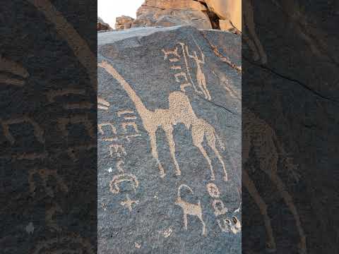 الثمودي اخية ونبال ورسوماتهم الثمودية في جبال مدينة جبة بحائل ثمودية ثمودي اكسبلور تاريخ ترند