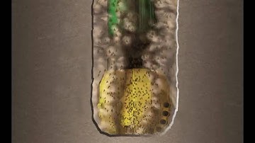 Bit and Mud 3D Explainer Animation | Drill Bit Animation | Downhole Drilling | Downhole Oil and Gas