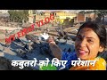 My first vlog   tisri lahar  arvind mamon vlog  arvindmamonvlog dailyvlog