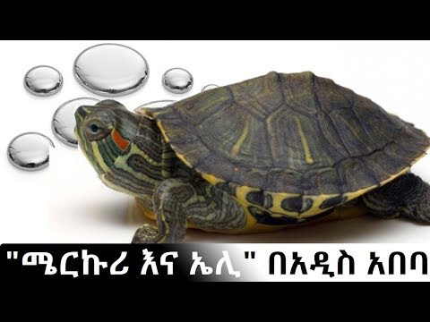 ቪዲዮ: የተጣራ ሽያጭ ለመድረስ ከሽያጮች ምን ተቀነሰ?