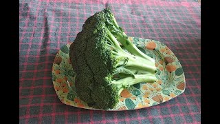 اسهل طريقة سلق البروكلي على بخار الماء -   The easiest way to boil broccoli on water vapor