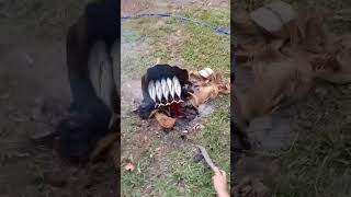 Trip Lng Nag Luto Ng Isda