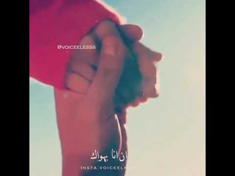 وأخيرا لقيت حبي لوحيد