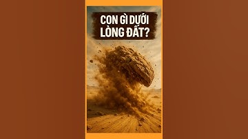 Giun Bobbit “Thần Chết” Dưới Đáy Biển Sâu | Sinh Vật Kinh Dị Có Thật Ngoài Đời