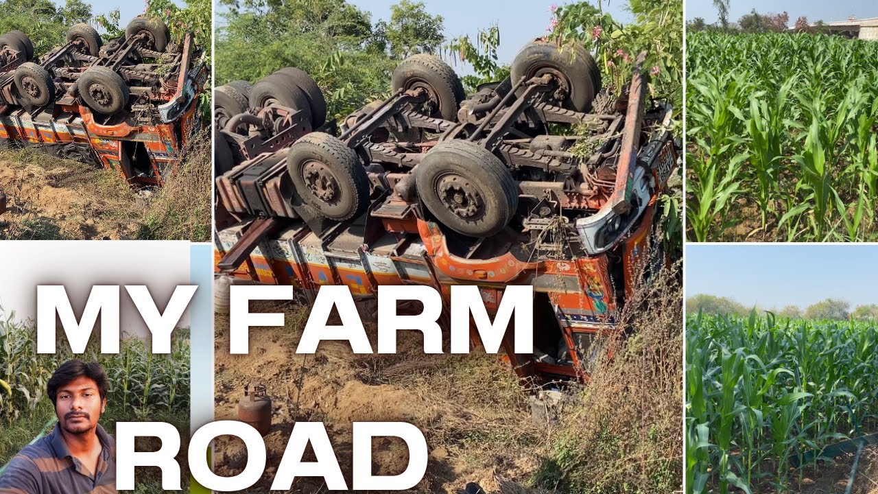 From Zero to Poultry Hero: My Farming Journey