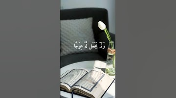 الحمد لله الذي أنزل على عبده الكتاب 🌿ماهر المعيقلي حالات واتس اب قرآن كريم
