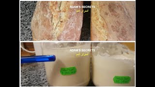 خميرة الخبز العضوية الطبيعية الجزء الثاني    Natural Organic Bread Yeast Part Two