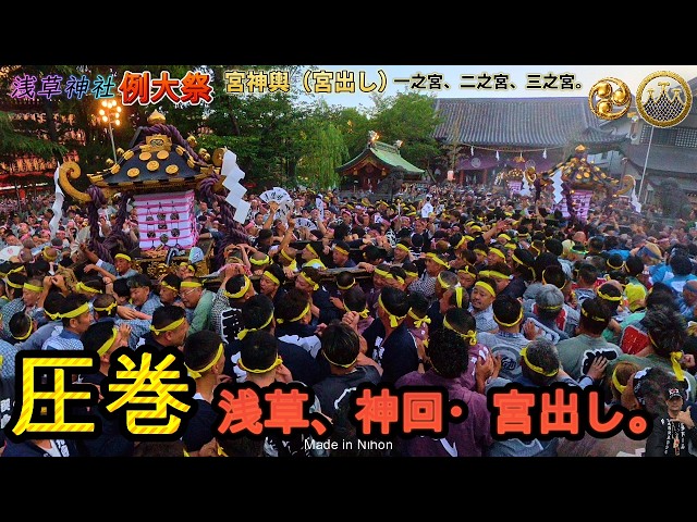 令和8年 三社祭 浅草神社 例大祭 本社神輿 宮出し｜浅草の魂が