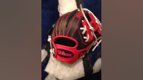 Custom Wilson A2000 DP15