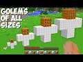I can SPAWN A GOLEM OF ALL SIZES in Minecraft ! TINY, SMALL, NORMAL, BIG, BIGGEST, TITAN GOLEM !