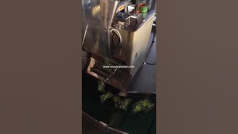 Toy vibration bowl sorting feeding counting vertical bag filling sealing machine VFFS video