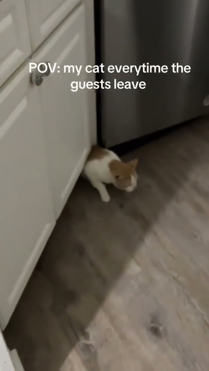Kittyo like let me crawl to the top man