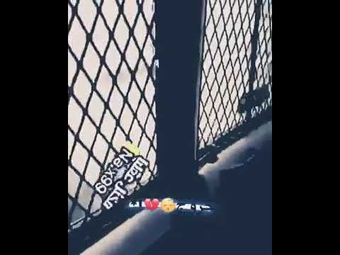 لجين وينك حبي