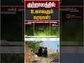 குற்றாலத்தில் உலாவரும் கரடிகள்! | Bear | courtallam