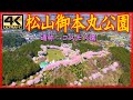 松山御本丸公園 桜満開 (宮城県) <絶景ドローン空撮 4K高画質>