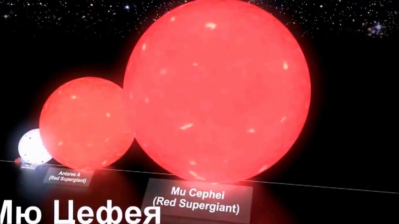 Скопление галактик. Космос звезды. В этом мире есть большие звезды. Звезды галактики. Гранатовая звезда цефея.