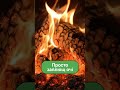Cold Storm vs. Cozy Lantern 🔥 | Затишок проти шторму 🔥
