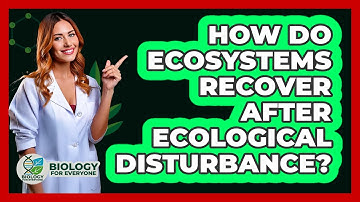 How Do Ecosystems Recover After Ecological Disturbance? - Biology For Everyone