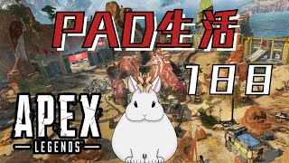 【APEX】コントローラーに触れてみる【銀灰兎角】