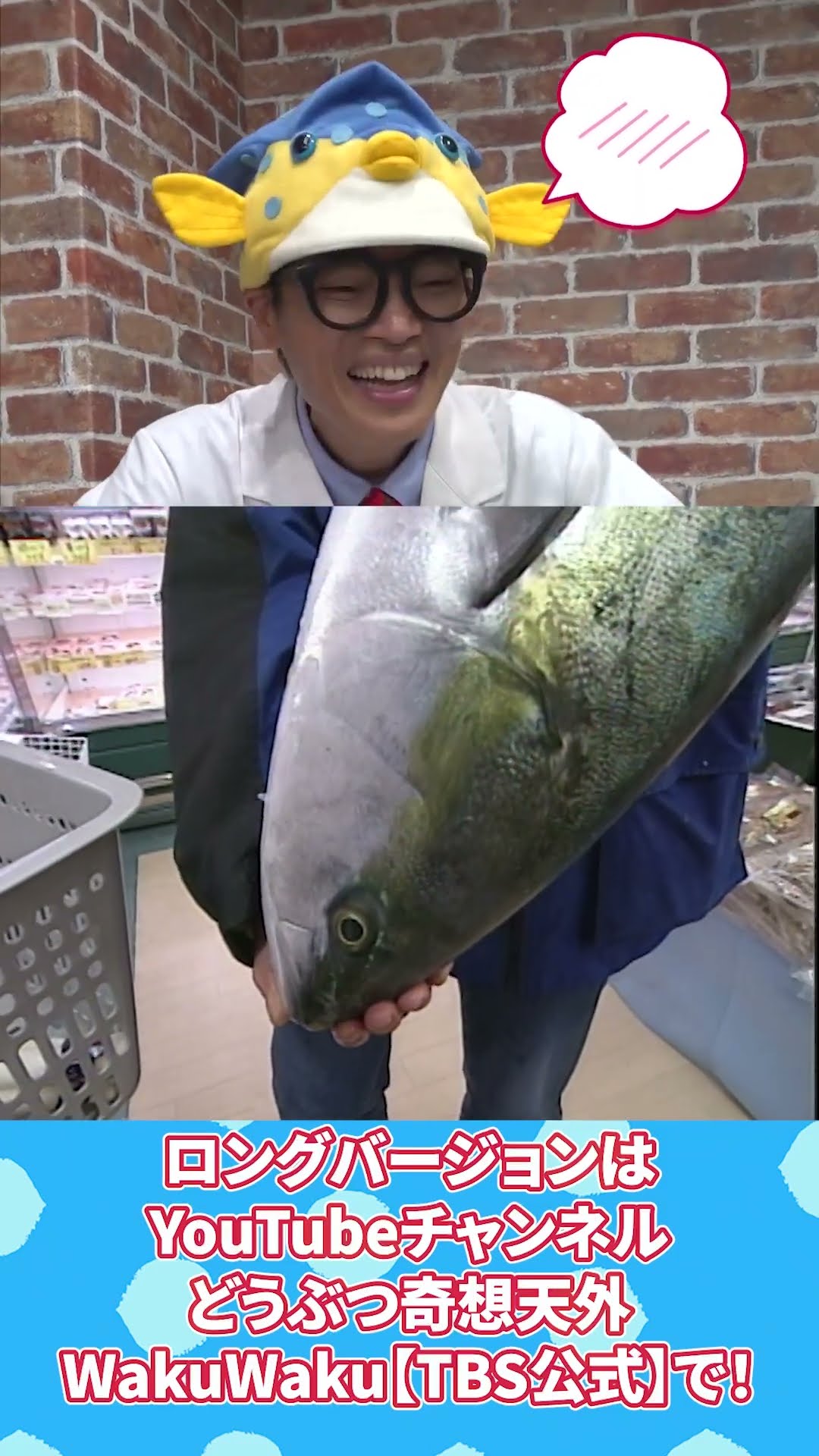 さかなクンちゃんねる - FISH BOY - Sakana-kun - YouTube