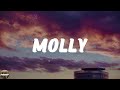 Central Cee - Molly (Lyrics)