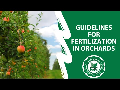 Guidelines for fertilization in orchards webinar | Haifa Group