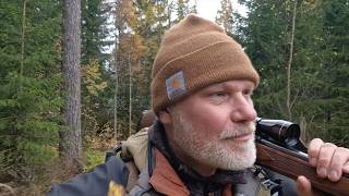 Älgjakt I Bastfallet - 2025 - Moose Hunting