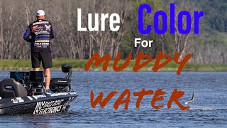 These Are Lure Colors You Need To Try For BIG BASS In MUDDY WATER!!