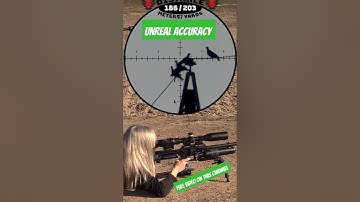 Unreal Long-Range Accuracy | FX Impact | She can shoot | Best PCP Airguns in the world | FX Airguns