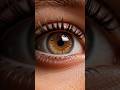 How Eyes Blink Complete Process||Explain......! #medicalanimation #medicalanimation #facts