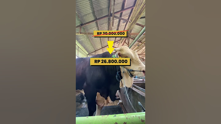 Jual Sapi Qurban FLASH SALE Hanya berlaku tanggal 03-04 Juni 2023. Info Hub : 0856 9390 6027